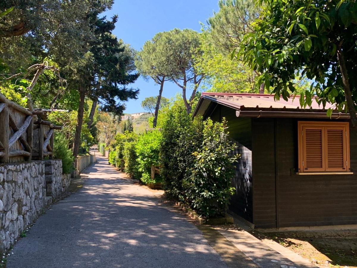 Village Camping Santa Fortunata - Campogaio Sorrento Exteriör bild