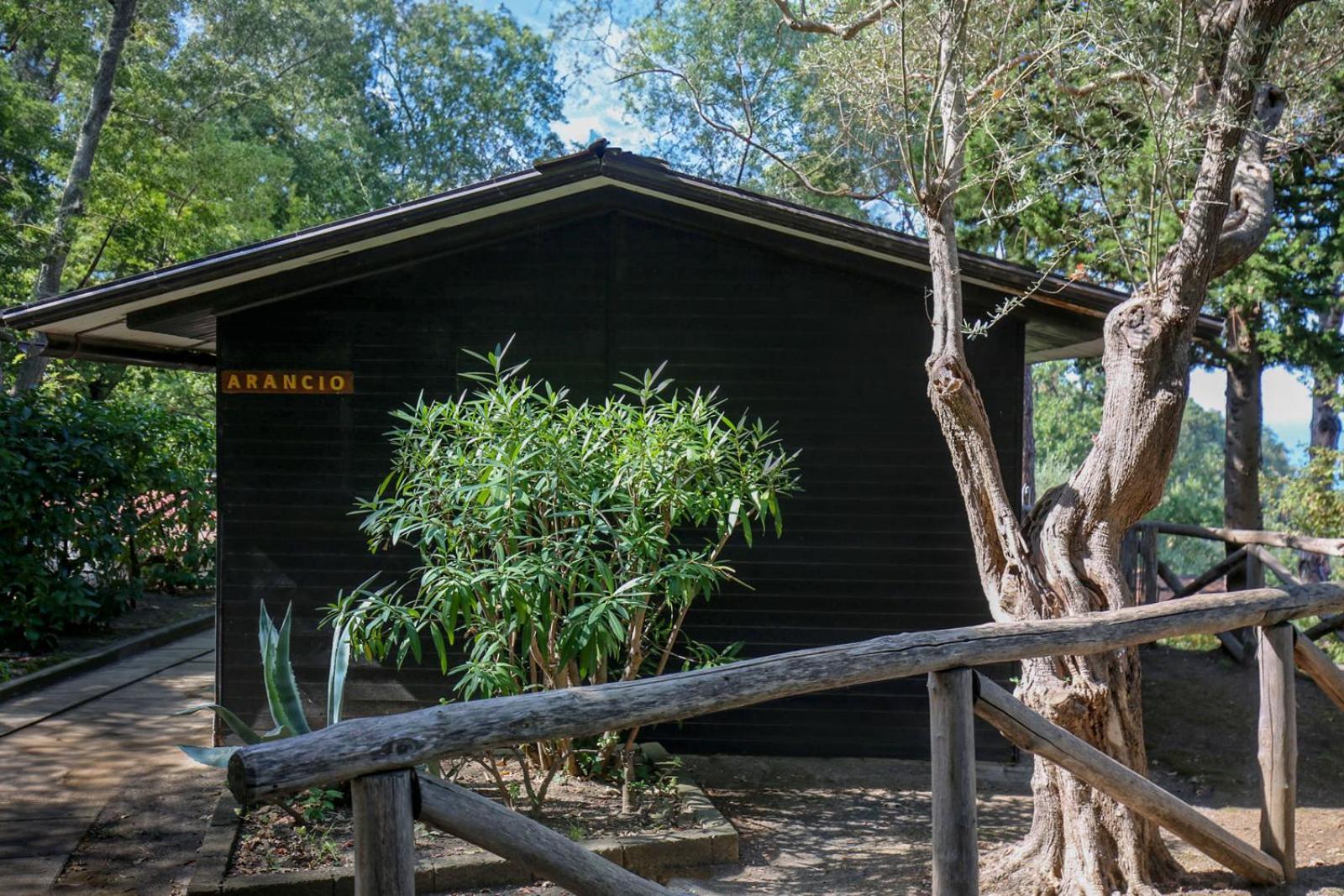 Village Camping Santa Fortunata - Campogaio Sorrento Exteriör bild