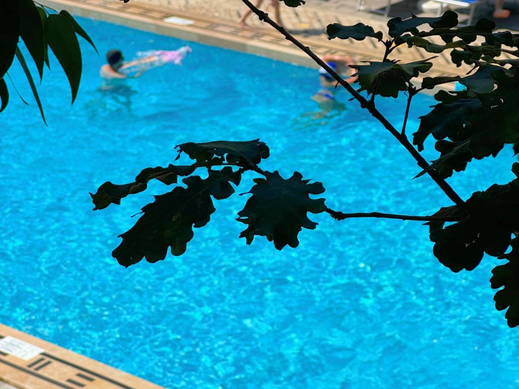 Village Camping Santa Fortunata - Campogaio Sorrento Exteriör bild